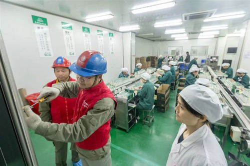 服務社會民生經濟，助推蘄春高質量發展· 蘄春供電公司勞務服務工作紀實
